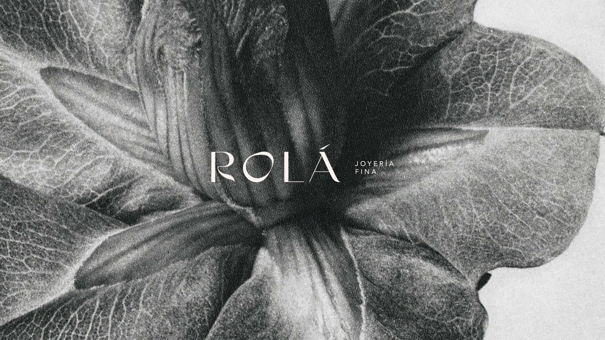 Rolá — Branding